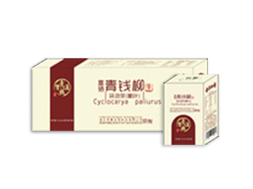 青钱柳茶