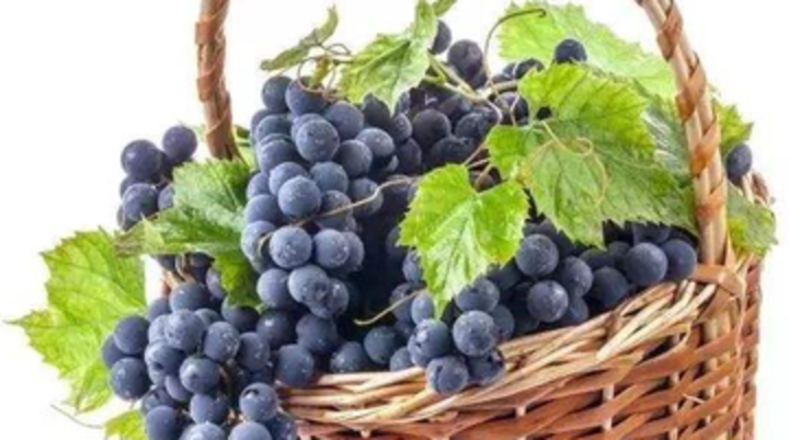 【案例】鲜葡萄从澳大利亚进口到广州报关