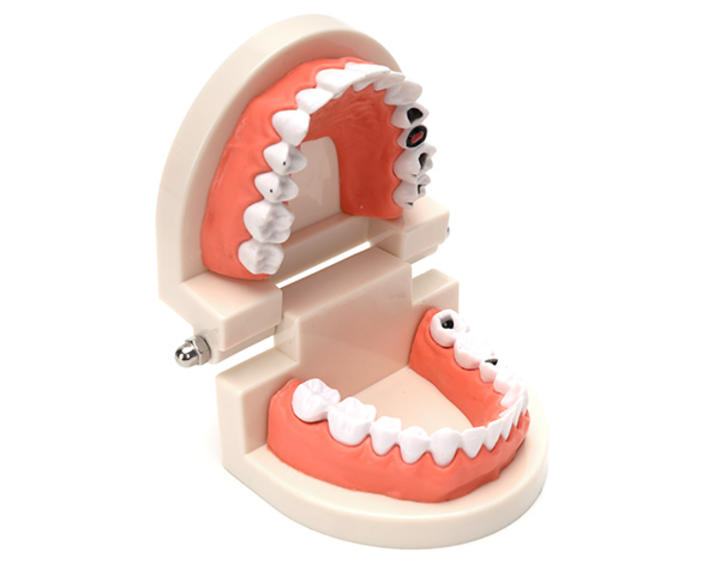 Dental module