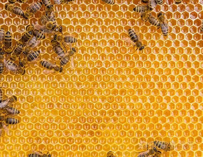 纯天然蜂蜜