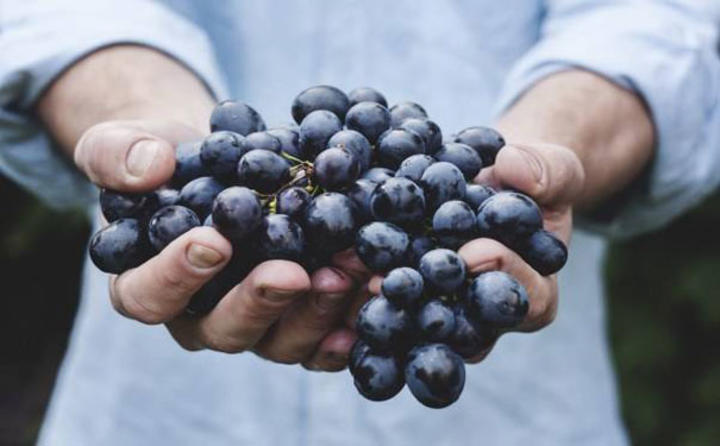 西班牙水果葡萄进口报关注意事项