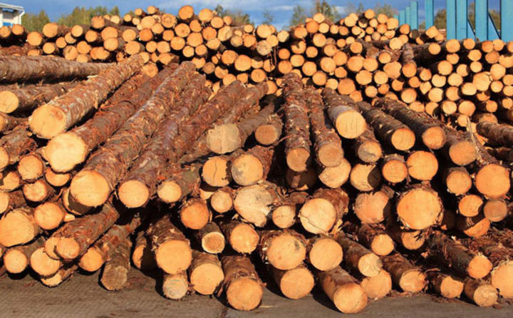 木材进口报关知识之木材分类
