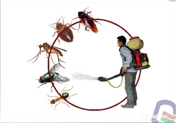 潜伏在你身边的7类有害昆虫