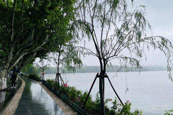 连夜补种！杭州西湖柳树被挪事件后续 景区回应：存在的失职失责问题将被调查追责